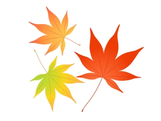 葉っぱが紅葉するのはなぜ？